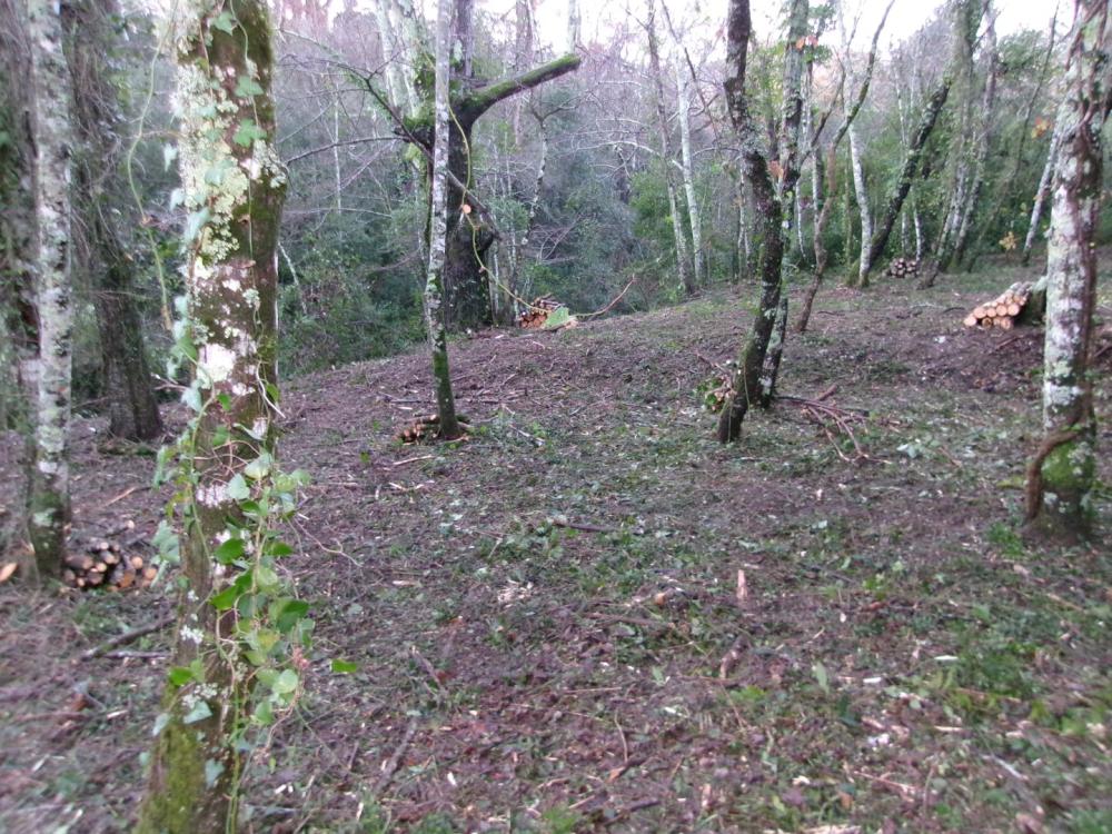 débroussaillage pour la protection incendie d'une habitation 1