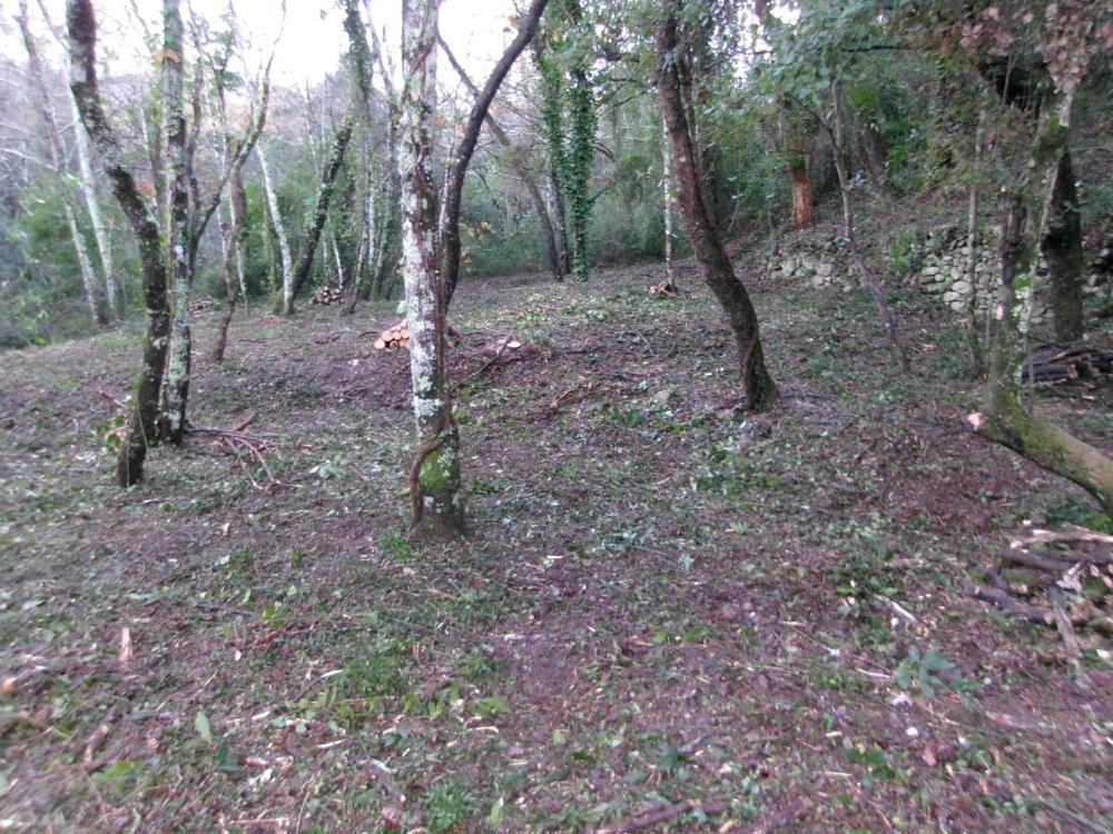 débroussaillage pour la protection incendie d'une habitation 2