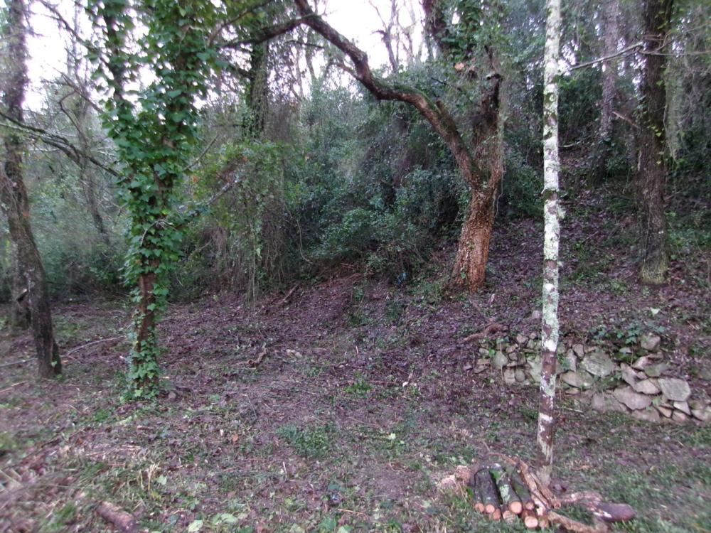 débroussaillage pour la protection incendie d'une habitation 3