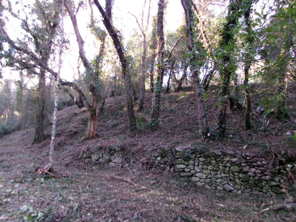 débroussaillage pour la protection incendie d'une habitation 4